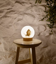 Load image into Gallery viewer, OVO