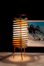 Load image into Gallery viewer, Junco Lamp