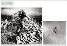 Load image into Gallery viewer, Being the Mountain by PRODUCTORA