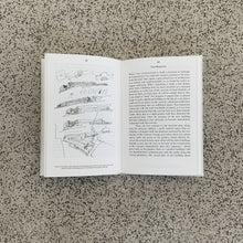 Load image into Gallery viewer, Imagining the evident