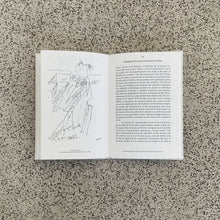 Load image into Gallery viewer, Imagining the evident