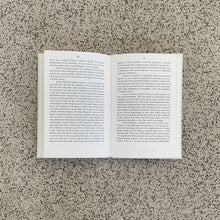 Load image into Gallery viewer, Imagining the evident